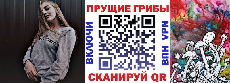 Псилоцибиновые грибы GOLDEN TEACHER  Купить закладки  Новотроицк 